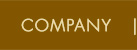 Our Company
